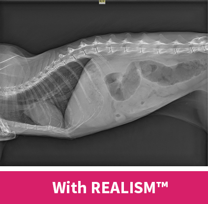 ma-realism-2