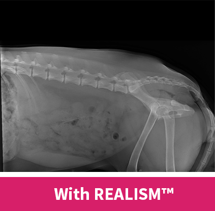 ma-realism-3